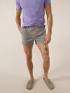 The Silver Linings 4" (Stretch) - Image 1 - Chubbies Shorts