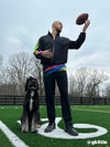 The Living Colors (Ultimate Sport Jogger) - Image 1 - Chubbies Shorts