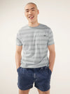 The Striper (Pocket T-Shirt) - Grey - Image 1 - Chubbies Shorts