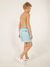 The Whale Sharks (Boys Classic Lined Swim Trunk) - Image 3 - Chubbies Shorts