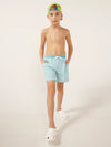 The Whale Sharks (Boys Classic Lined Swim Trunk) - Image 4 - Chubbies Shorts