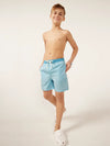 The Whale Sharks (Boys Classic Swim Trunk) - Image 5 - Chubbies Shorts