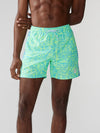 The Shakedowns 5.5" (Classic Swim Trunk) - Image 1 - Chubbies Shorts