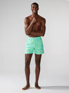 The Shakedowns 5.5" (Classic Swim Trunk) - Image 5 - Chubbies Shorts