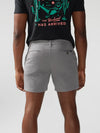 The Silver Linings 5.5" Flat Front (Stretch) - Image 2 - Chubbies Shorts