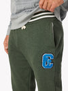 The Mvps (Sweatpant) - Image 2 - Chubbies Shorts