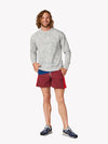 The 3d Spectacles (Tracksuit Short) - Image 2 - Chubbies Shorts