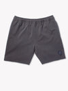 The Flints 5.5" (Hybrid Gym/Swim) - Image 1 - Chubbies Shorts