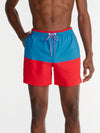 The Liberties 5.5" (Magic Classic Swim Trunk) - Image 2 - Chubbies Shorts