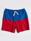 The Liberties (Magic Kids Swim) - Image 5 - Chubbies Shorts