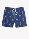 The PTOs 5.5" (FT) - Image 1 - Chubbies Shorts