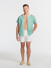 The Palm Palms 5.5" (Seersucker Stretch) - Image 6 - Chubbies Shorts