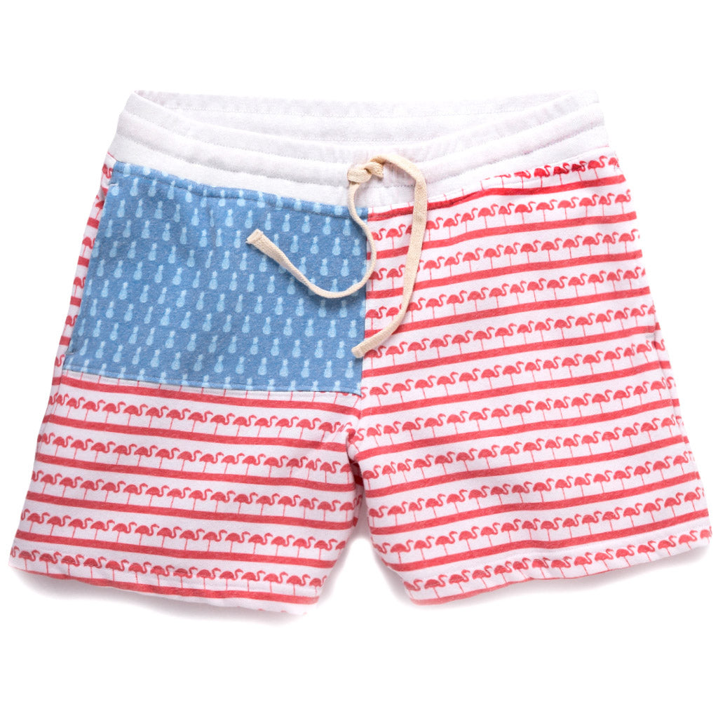 chubbies sweat shorts