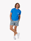 The Plushy Palms (Movementum Shorts) - Image 1 - Chubbies Shorts