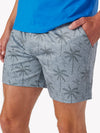 The Plushy Palms (Movementum Shorts) - Image 2 - Chubbies Shorts