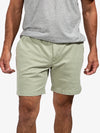 The Problem Solvers 7" (Stretch) - Image 1 - Chubbies Shorts