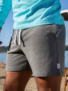 The Schwort 5.5" - Image 2 - Chubbies Shorts