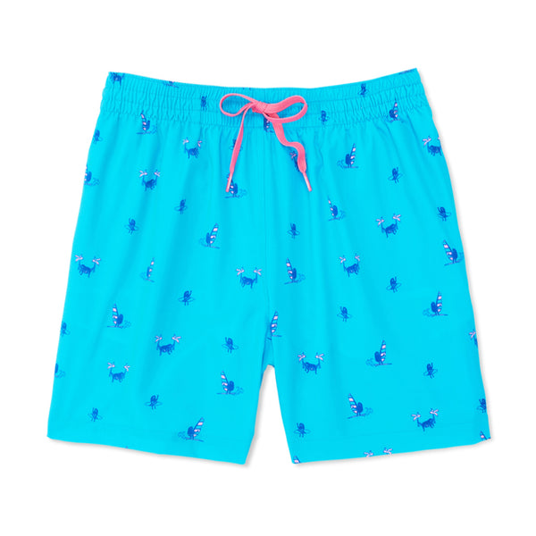 Men's Swim Trunks | Swim Trunks for Men | Chubbies Swimming Trunks