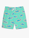 The Apex Swimmers 7" (Classic Swim Trunk) - Image 5 - Chubbies Shorts