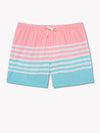 The On The Horizons 4" (Classic Swim Trunk) - Image 1 - Chubbies Shorts