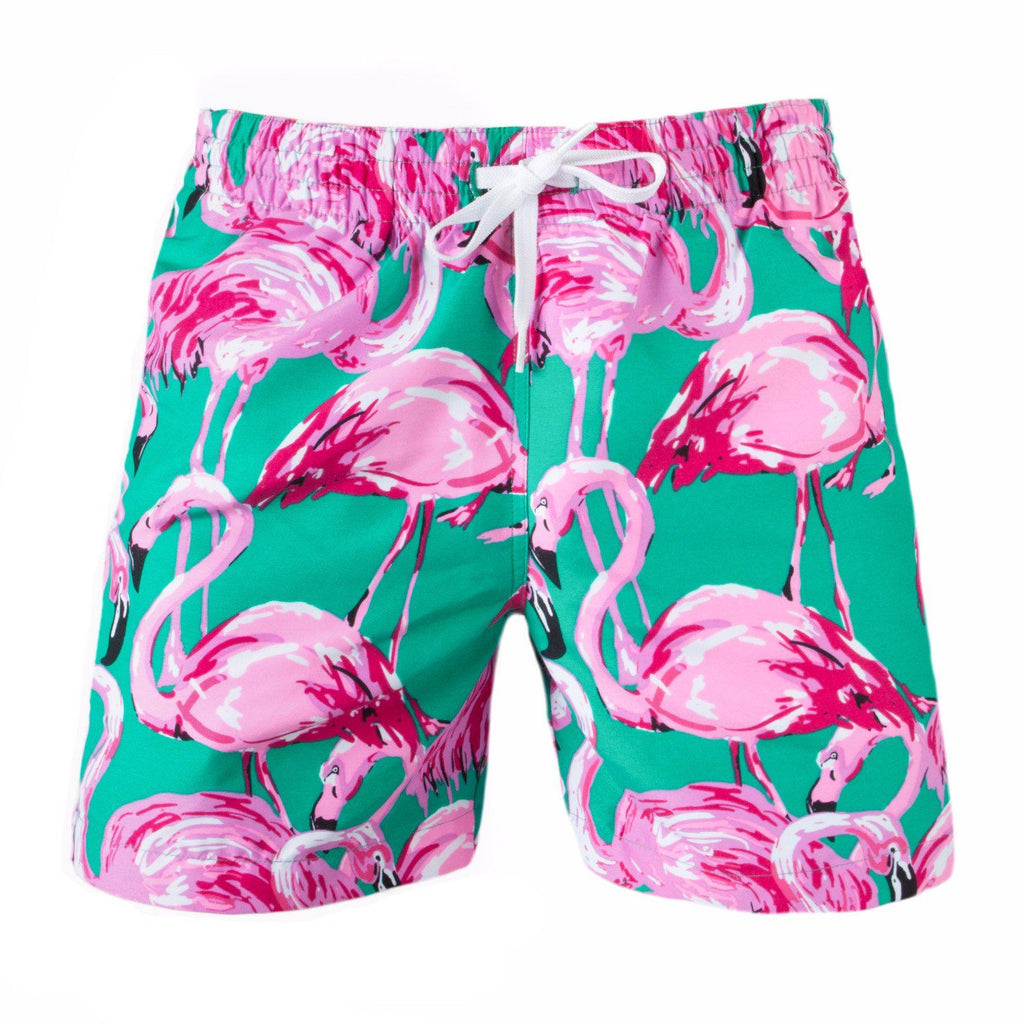 mens flamingo swim shorts