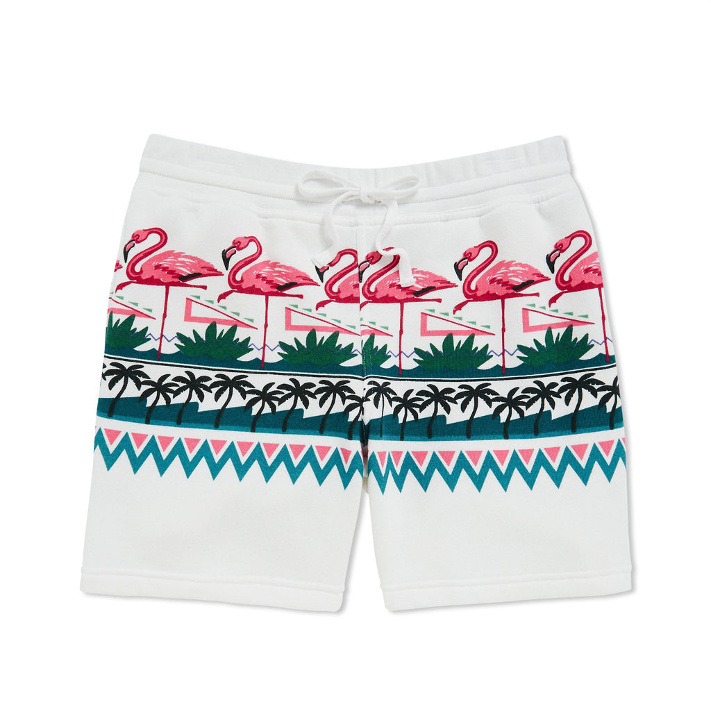 chubbies sweat shorts