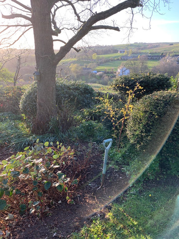 Dog & Dome garden