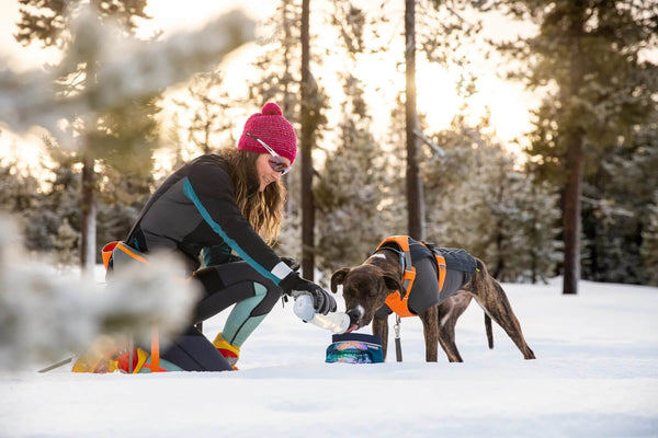 Winter Essentials: Must-Have Gear for Dog Owners in Cold Weather