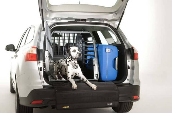 5 Reasons for Using a Dog Car Crate
