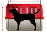 Dog in crate sizing guide for airline travel