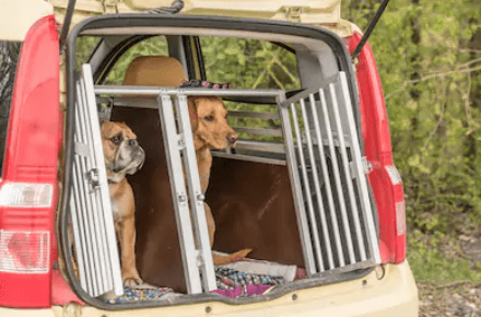 how to crate train a dog for cars