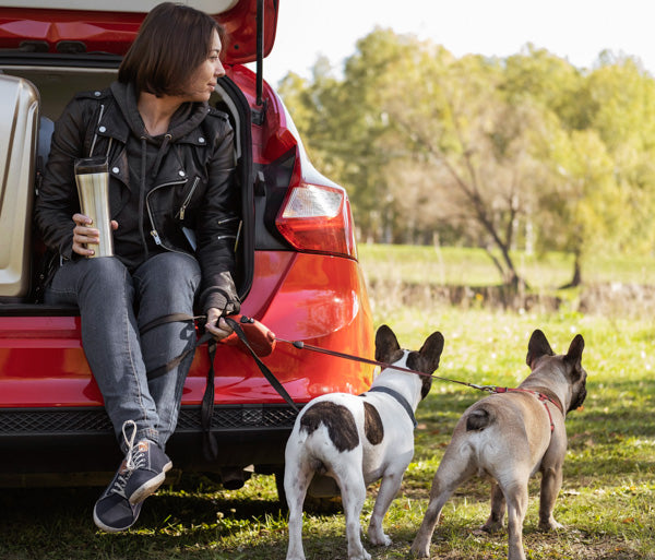 how to get out of the car safely with your dog