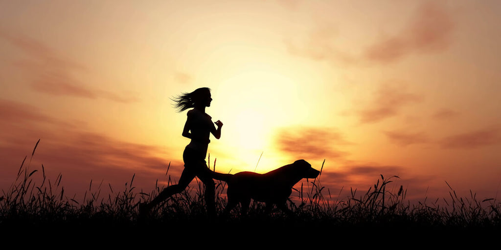 How much exercise does your dog need