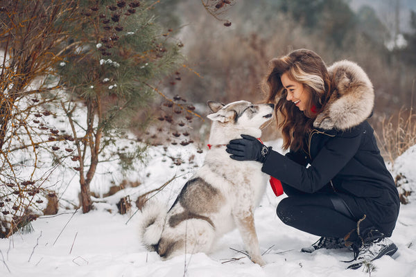 10 tips for your dog to stay safe and warm in the winter