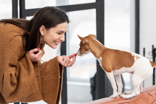 8 ways to prep for your new puppy