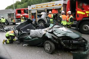 AdeoPets Variocage car crash survival picture