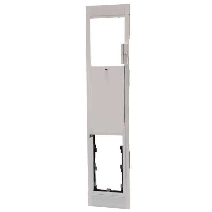 standard door with dog door