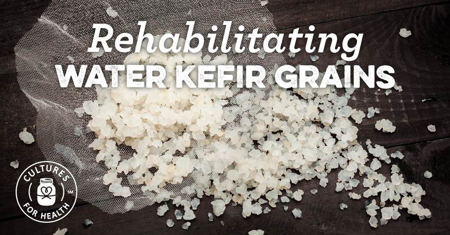 Rehabilitating Water Kefir Grains