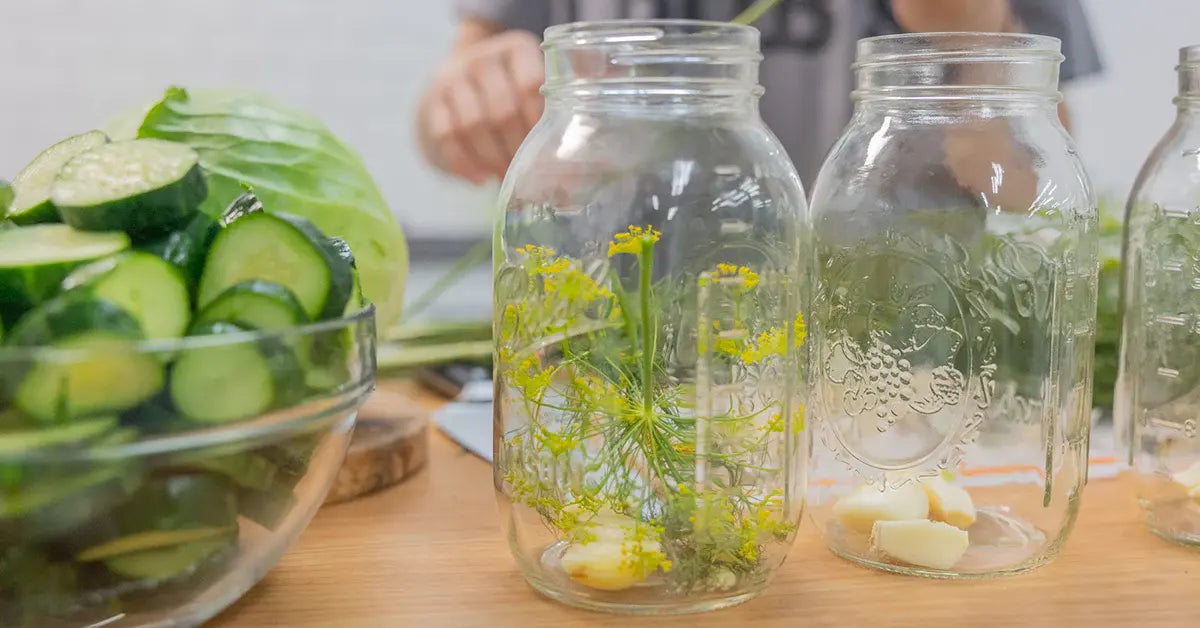 dill for fermented dill pickles