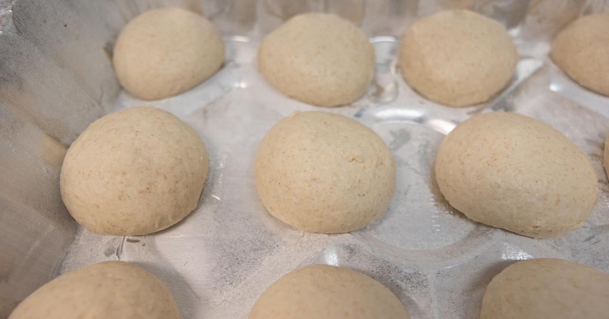 whole wheat sourdough buns getting ready to rise