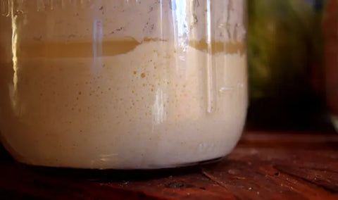 Sourdough starter in a quart-sized jar