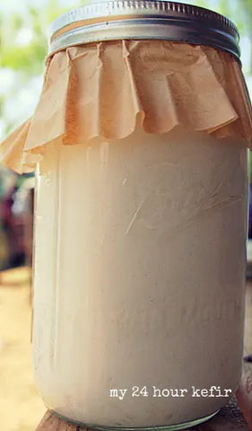 Milk kefir in a quart-sized jar