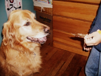 how do you make scoby dog treats in the oven