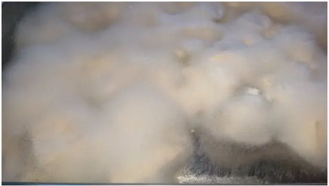 Tofu Fully Covered in White Mold