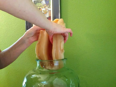 Pulling thick baby scoby out of a vessel jar 