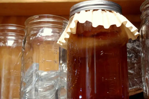 Fermenting Kombucha Vinegar