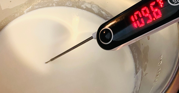 Bulgarian Yogurt's milk allow to cool to 110°F