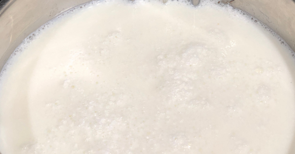 Whey for Ricotta begins to foam.