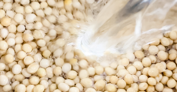 Soybeans for Japanese Natto is soaked in 6 cups of water.