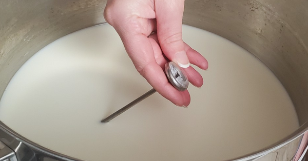 Heat milk for Chèvre at 86°F